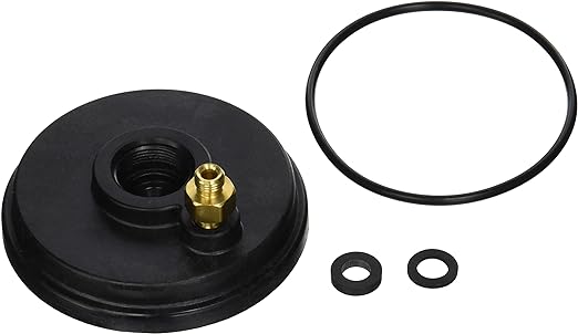 Jandy R0455400 Lxi & Legacy Cap Sensor & Pressure Switch With O-Ring Replacement