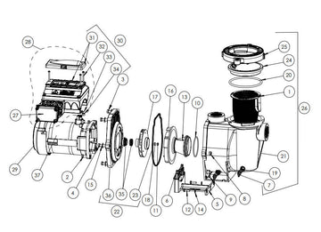 Intelliflo_VF_Pump.jpg
