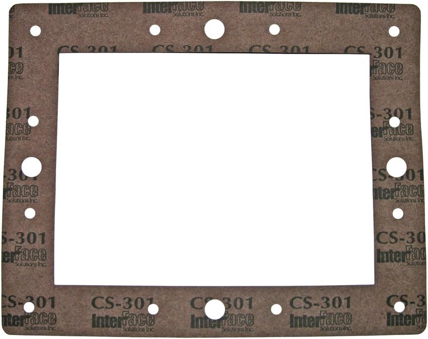 Hayward SPX1084BPAK2 Gasket For 1084 & 1076 Skimmer Faceplates G-113 Set Of 2