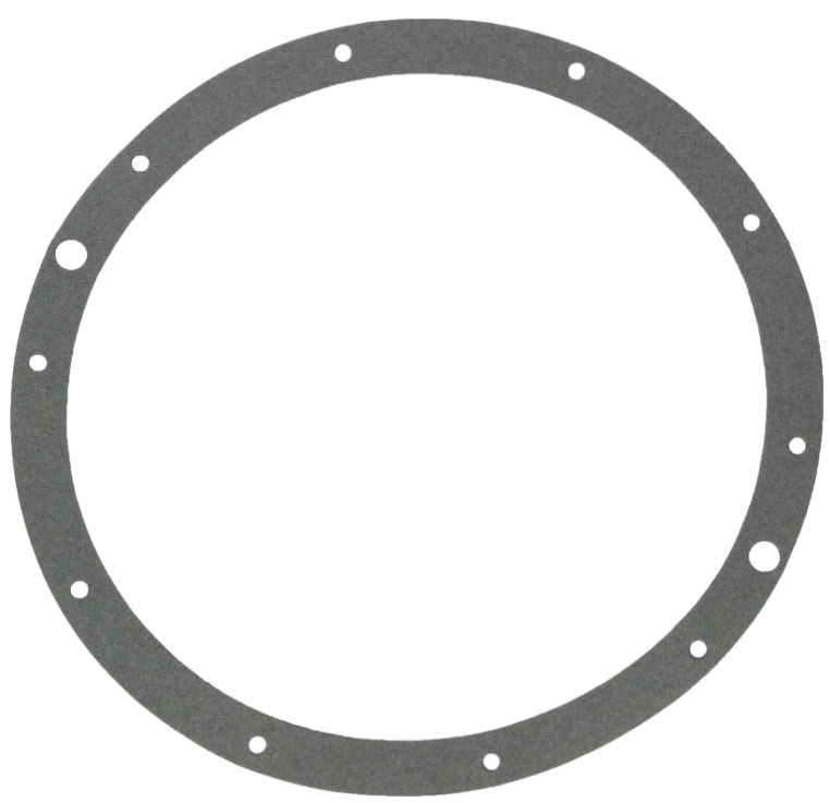 Aladdin G-96 Gasket For 10 Hole Chrome Liner Light Seal Ring, Replaces Hayward SPX0506D, Pentair 79200400