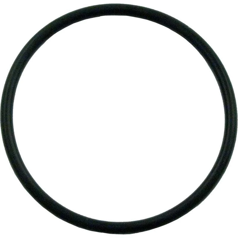 Pentair 355330 Tagelus / Challenger Strainer Pot Flange O-Ring