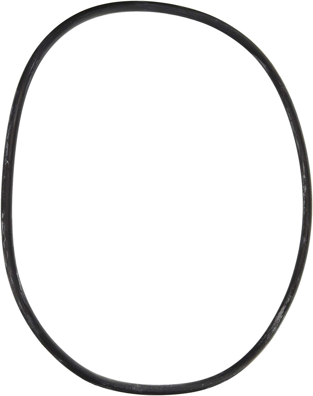 Pentair Posi-Clear Tank O-Ring
