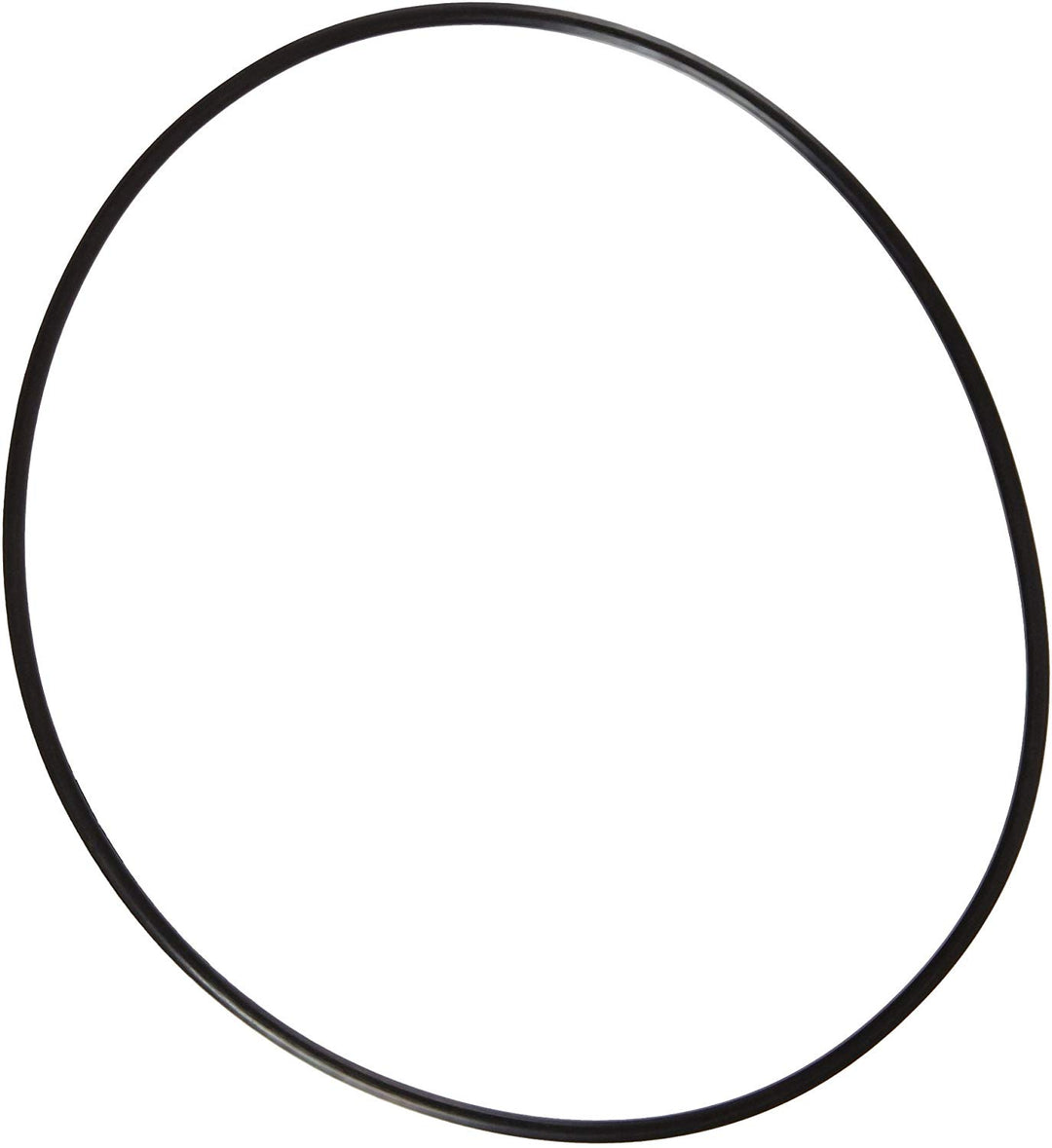 Pentair HiFlo TM/SM MPV Top O-Ring