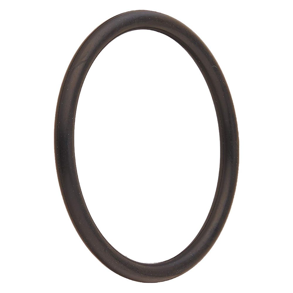 Pentair 274494 Valve adapter O-Ring