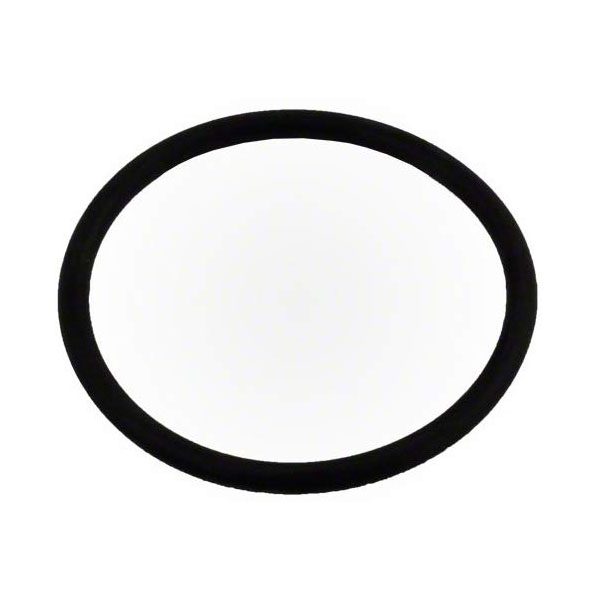 Pentair 350336Z Intelliflo Diffuser O-Ring