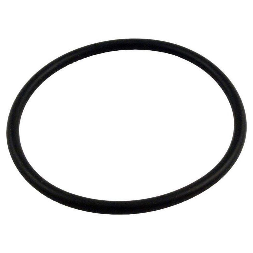 Pentair HydroPump Lid O-Ring