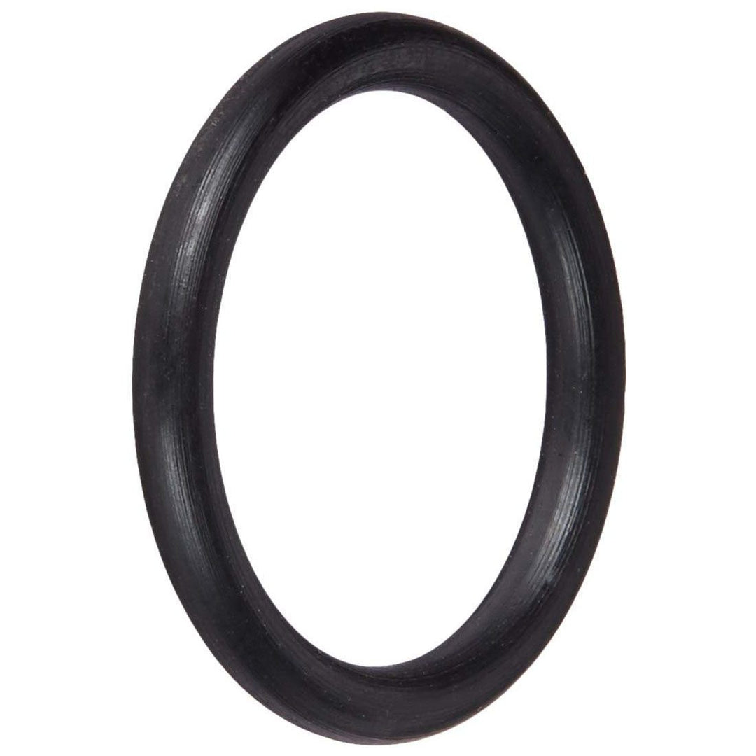 Pentair Bronze Slide Valve O-Ring