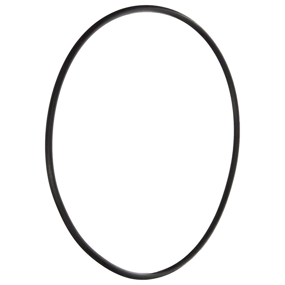 Pentair 355619 Seal Plate O-Ring