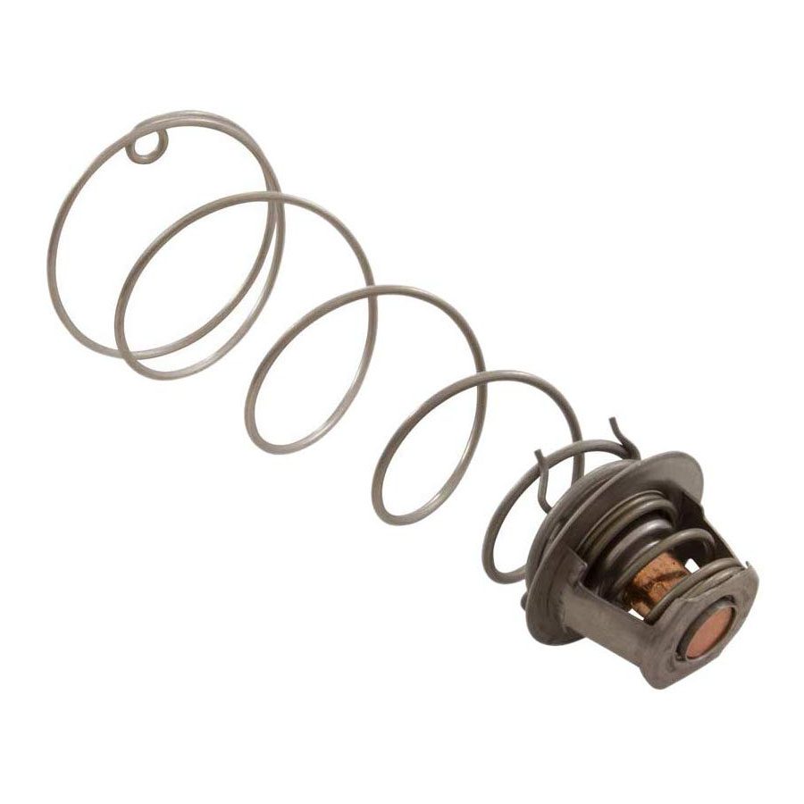 Pentair 460924 Thermal Regulator Kit