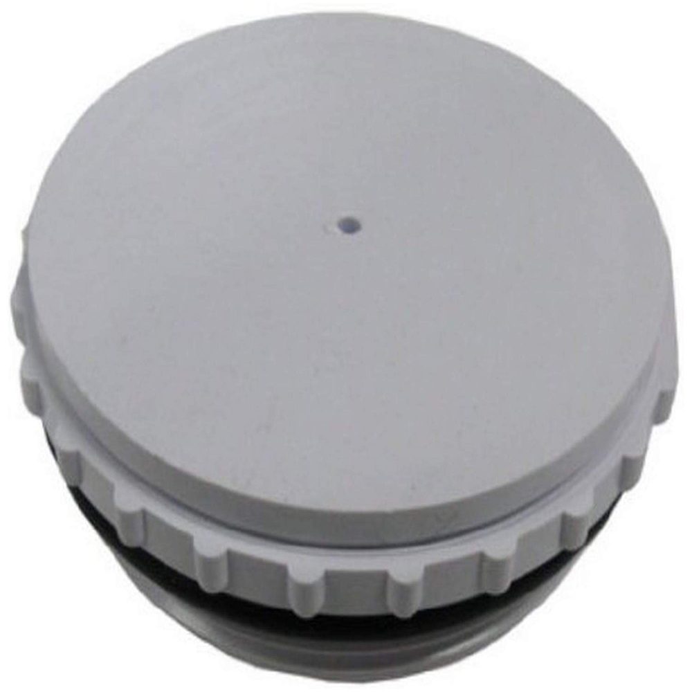 Pentair 506162 Bermuda Gunite Skimmers Equalizer Valve Assembly