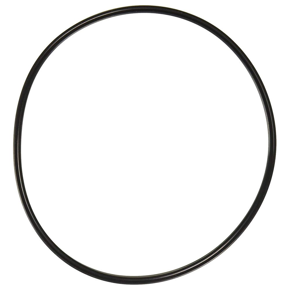 Pentair Duad DE MPV Lid O-Ring