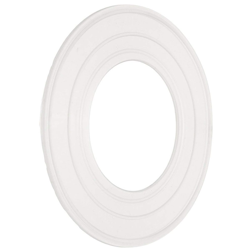 Pentair 79116800 AquaLuminator Gasket
