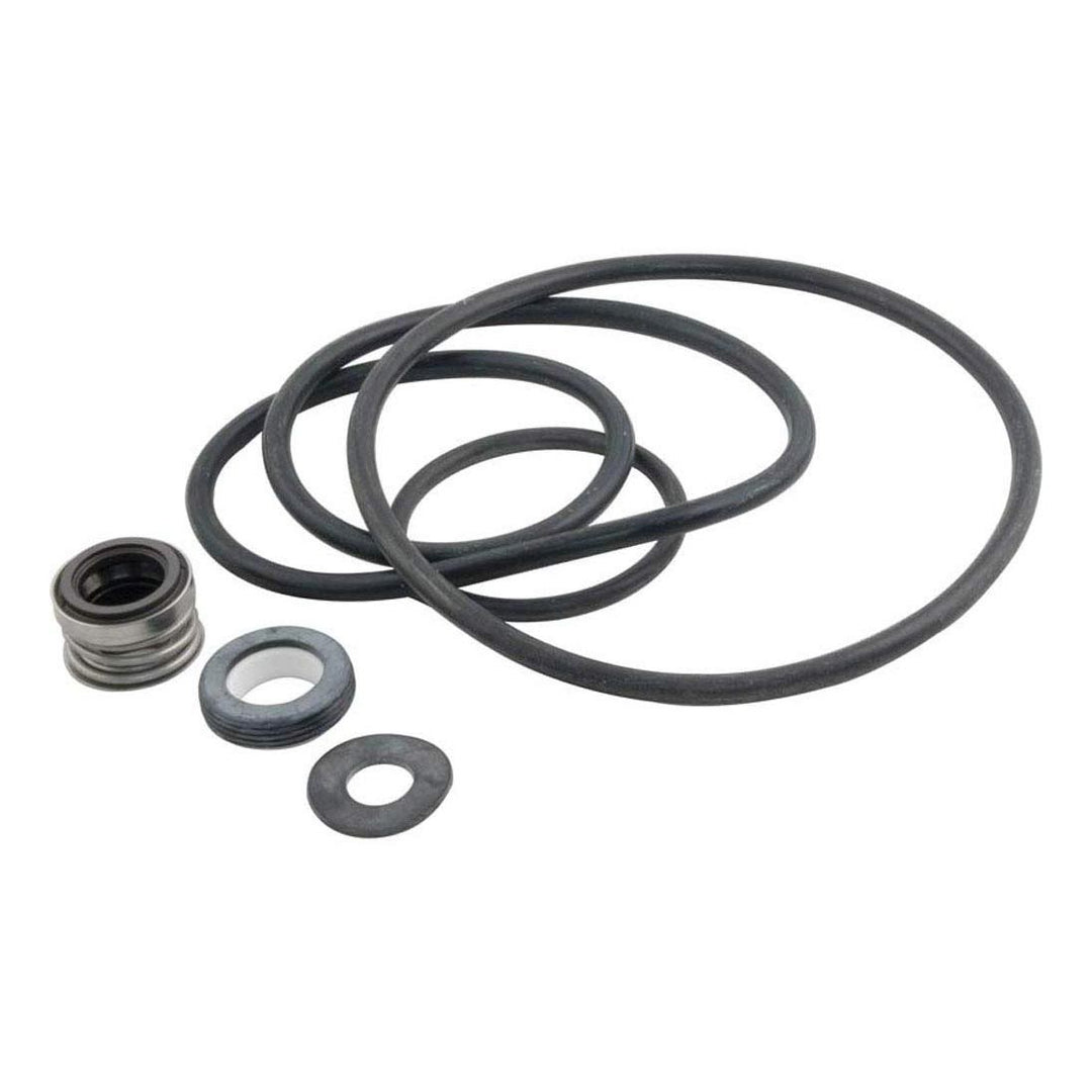 Pentair PP3000 Seal/Gasket Kit