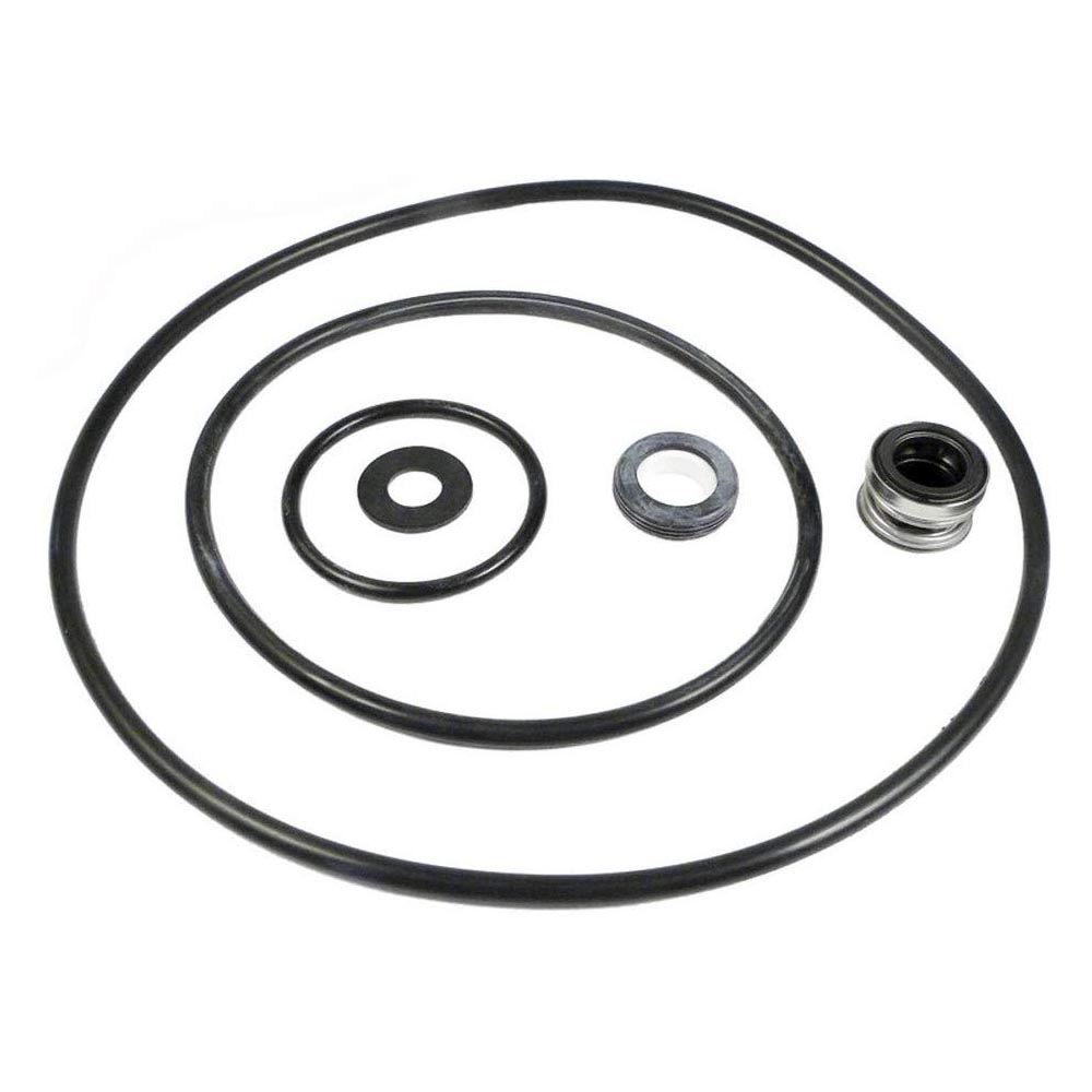Pentair PP4200 Seal/Gasket Kit
