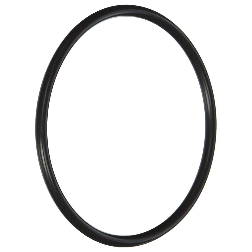 Pentair 320/322 In-Line Feeder Cap O-Ring