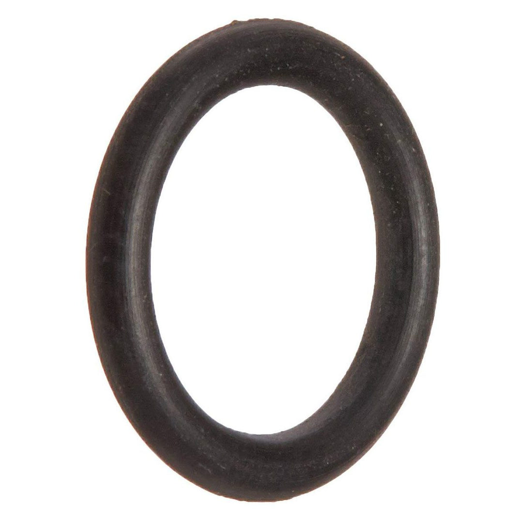 Pentair Dynamic Feeder Drain & Vent O-Ring