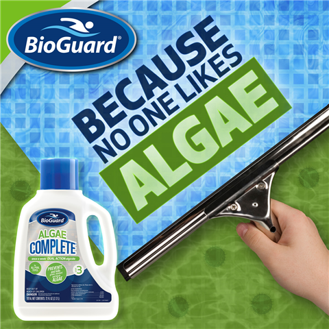 How to Get Rid of Algae in Your Pool: Green Pool Treatment Guide