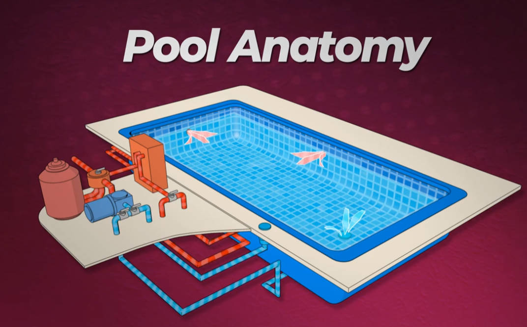 Pool Anatomy