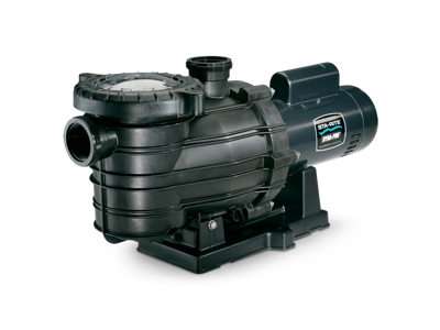 Sta-Rite Dyna-Pro / Dyna-Pro E Pumps (Discontinued)