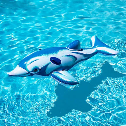 Swimline 90449 Dolphin 72" Pool Float