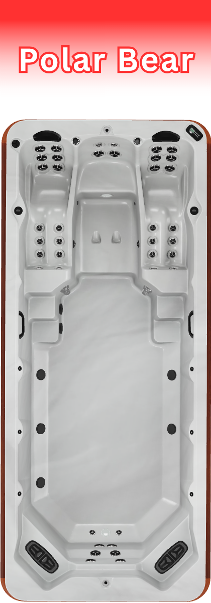 Arctic Polar Bear All Weather Pool Swim Spa