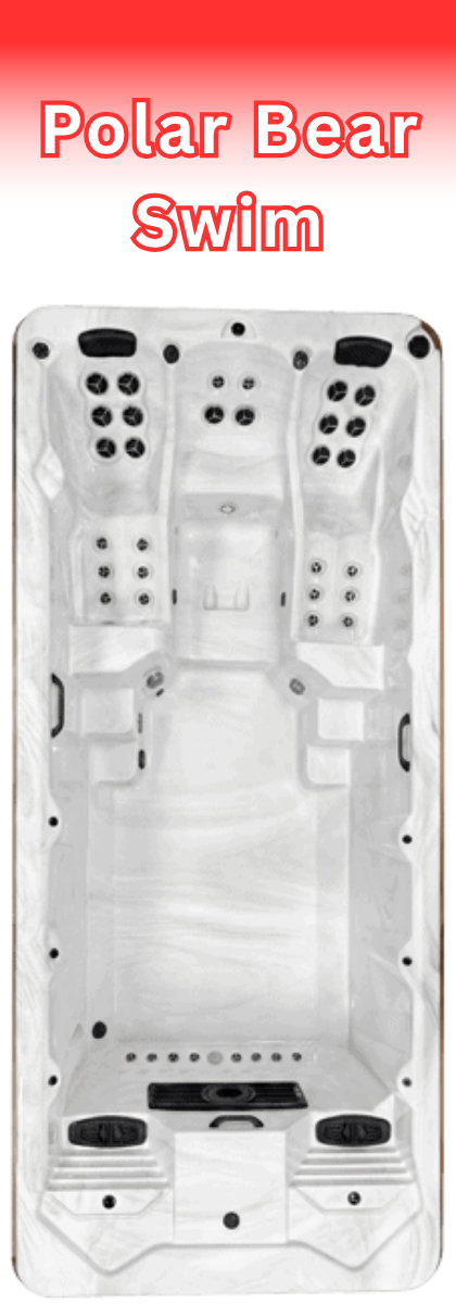 Arctic Polar Bear All Weather Pool Swim Spa