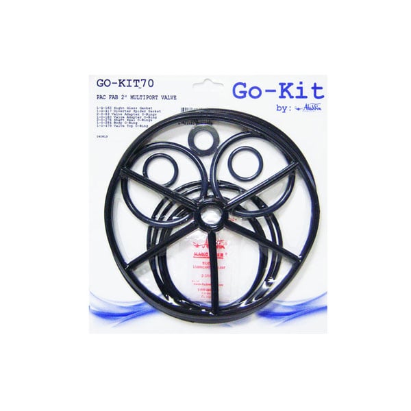 Aladdin GO-KIT70 PacFab Multiport Valve 2 - GO-KIT70