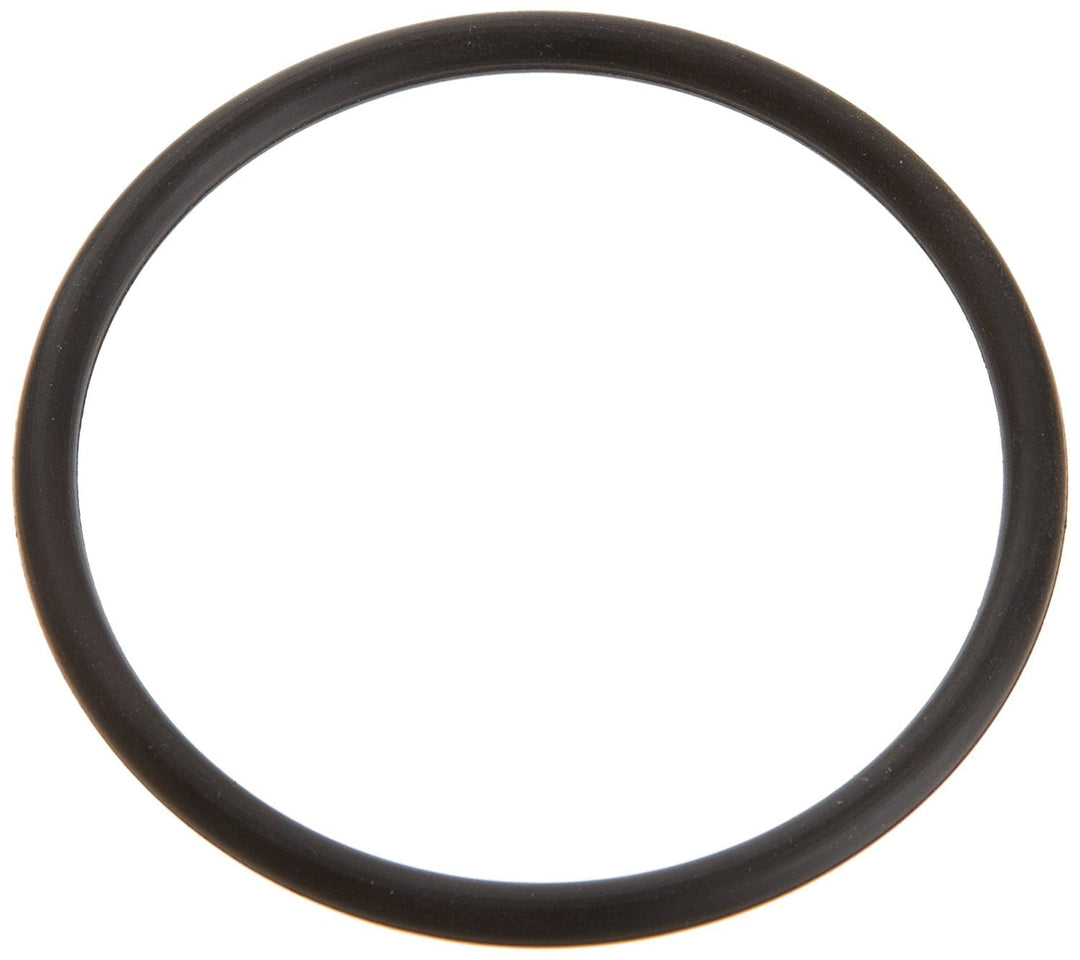 Pentair 6020018 O-Ring Replacement SuperFlo Pool and Spa Inground Heat Pump