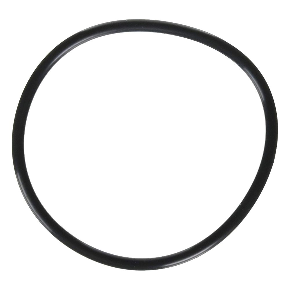 Zodiac R0480200 Lid O-Ring Replacement for Zodiac Jandy FloPro FHPM Series Pump
