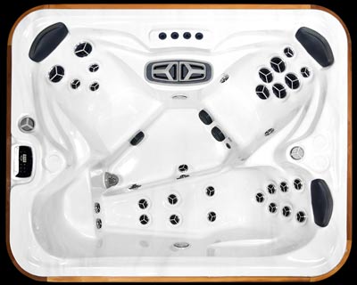 Arctic Custom Series Fox Spa – Premier Pool & Spa