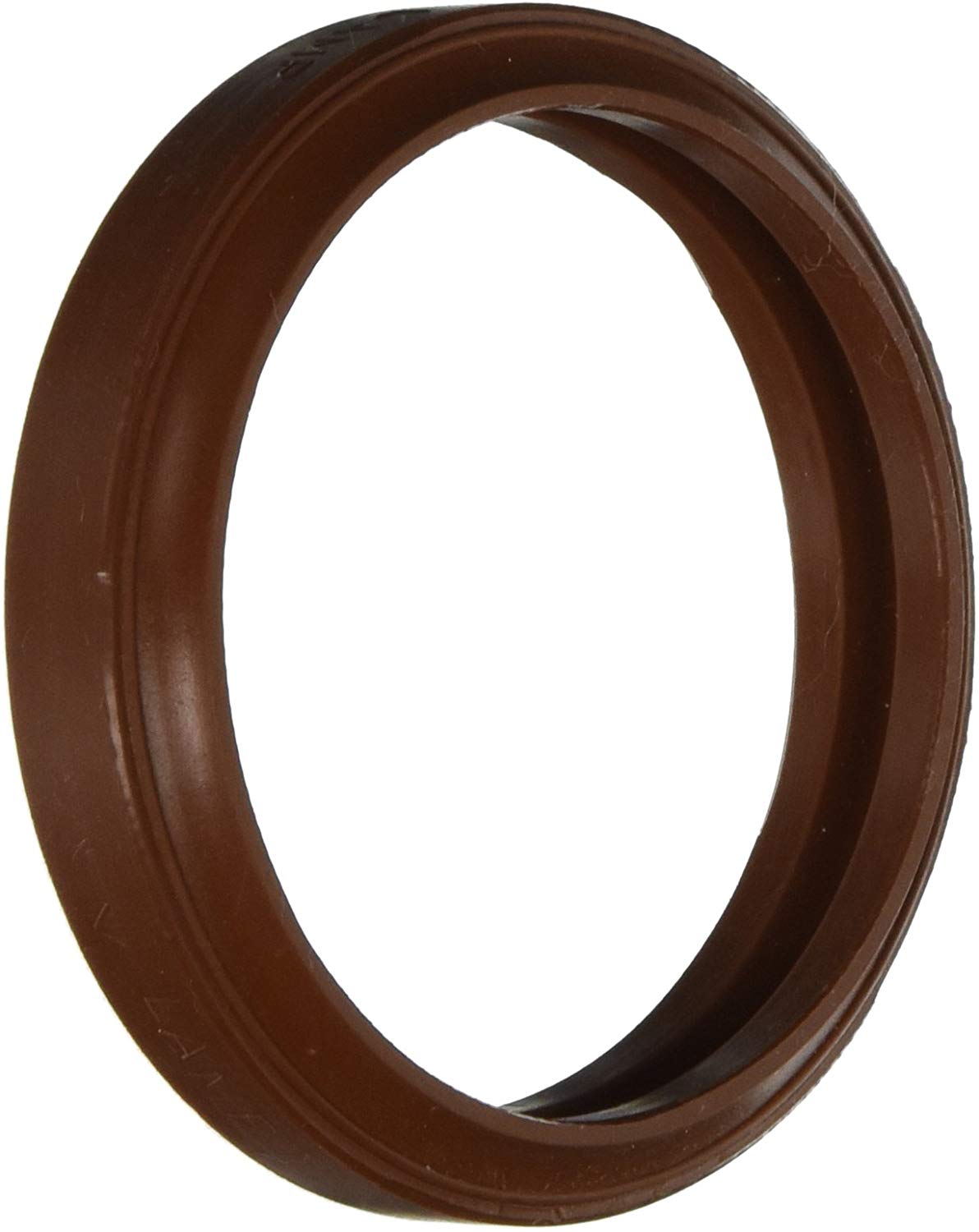 Pentair Sunlite Lens Gasket