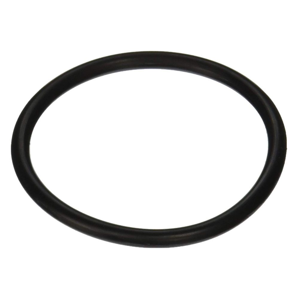 Pentair 154492 2" Bulkhead O-Ring