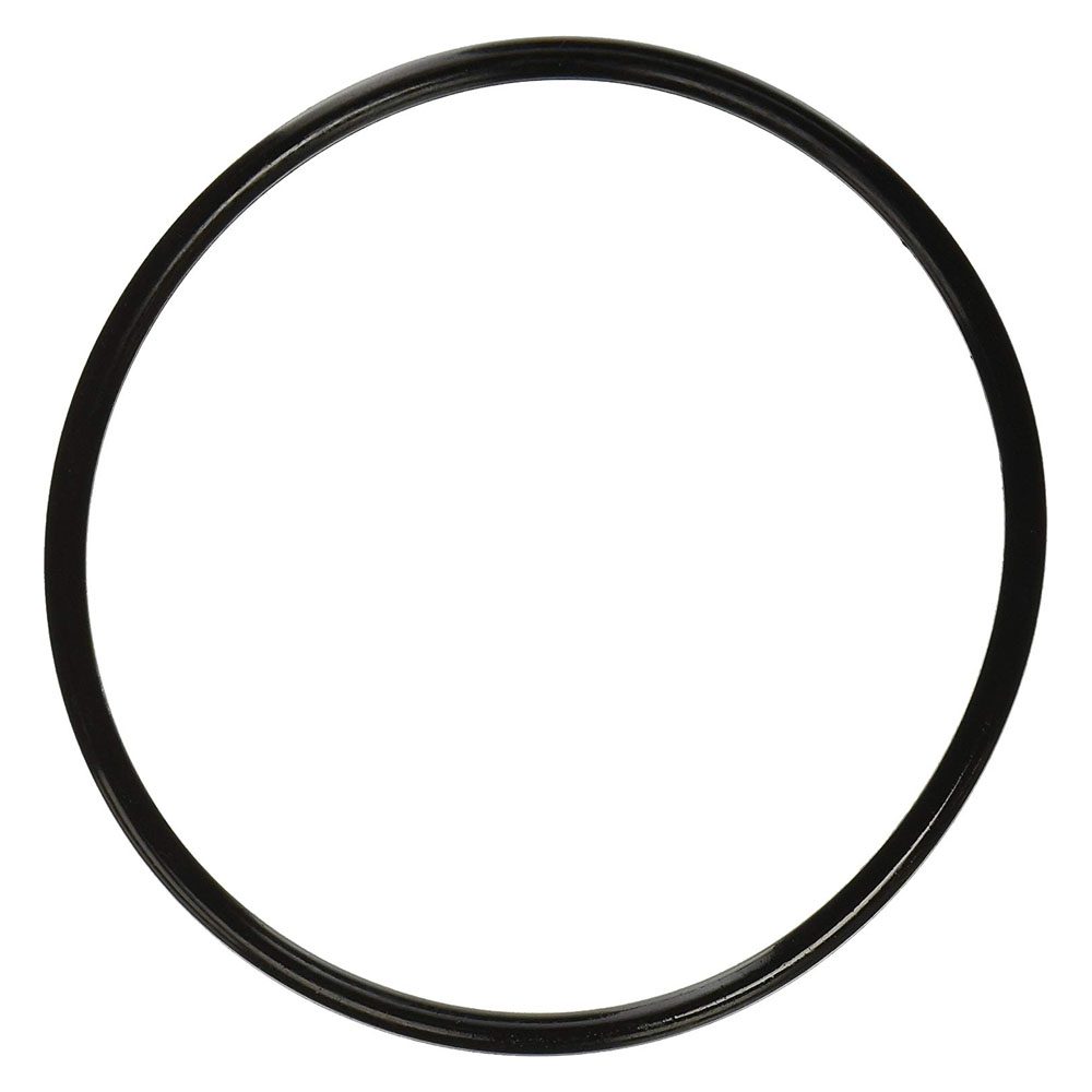 Pentair 350013 WhisperFlo Pump Lid O-Ring