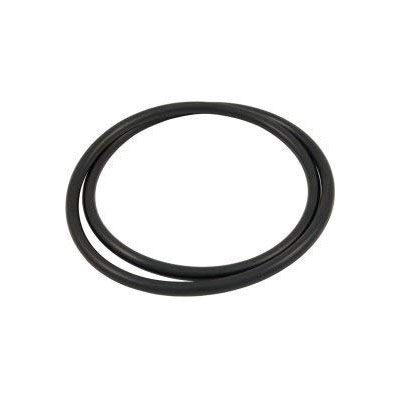 Pentair 39010200 C&C Tank O-ring