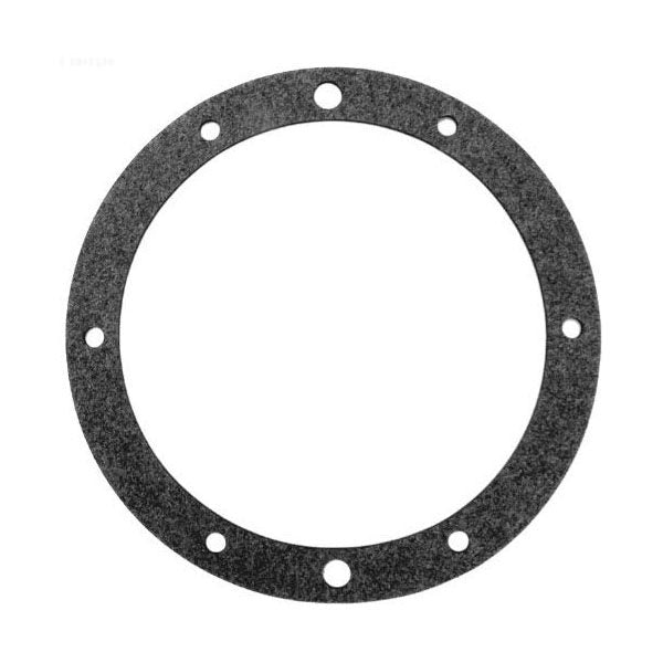 Pentair Single Gasket For Spa SS Small Niches