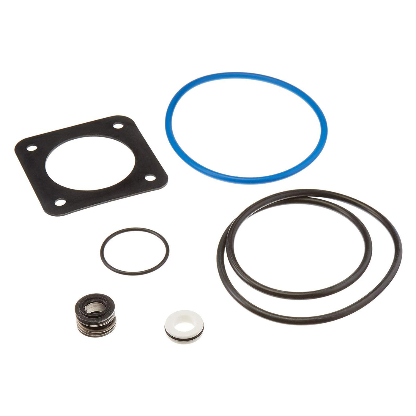 Pentair PP1000 HP Pump Parts Kit