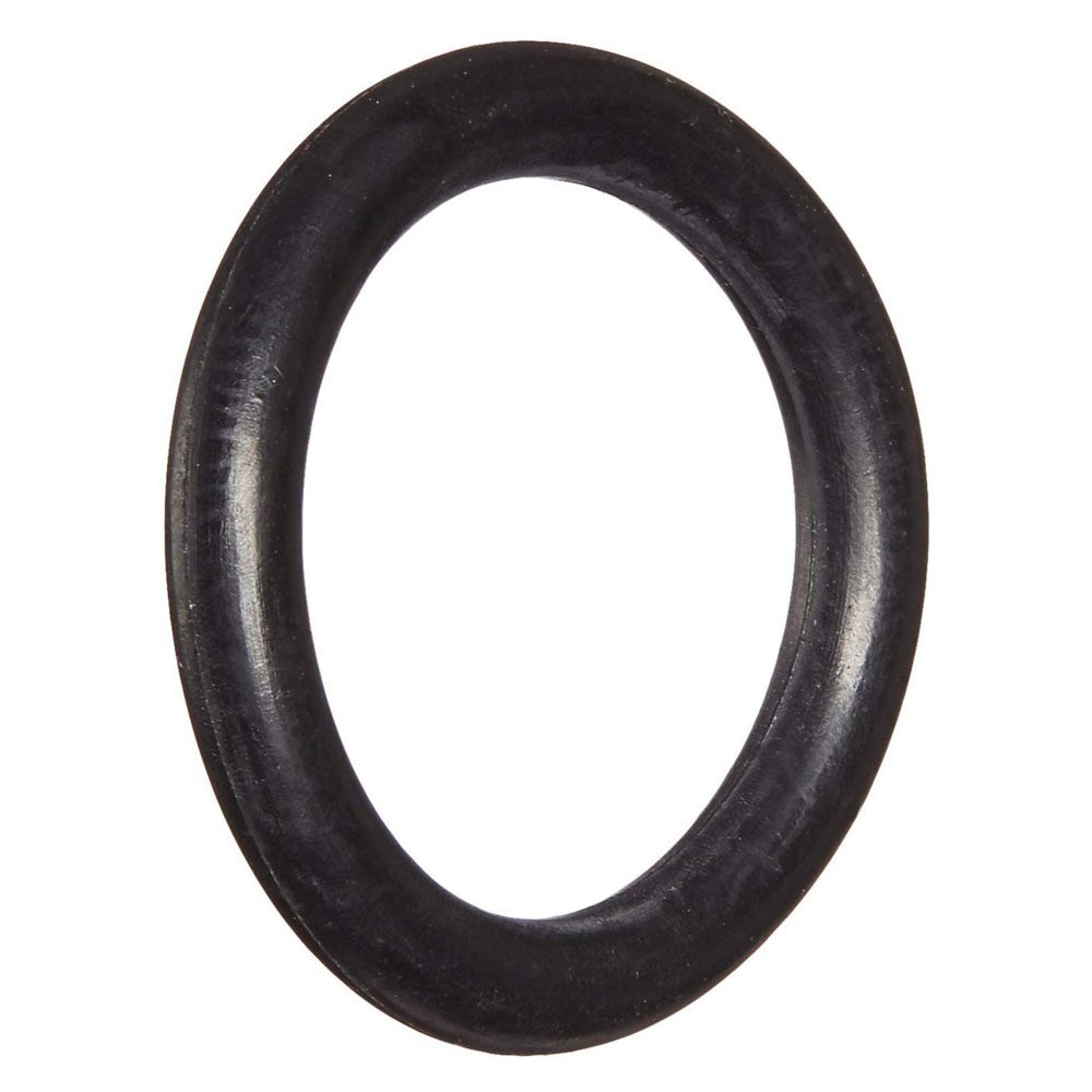 Pentair Valve Shaft O-Ring