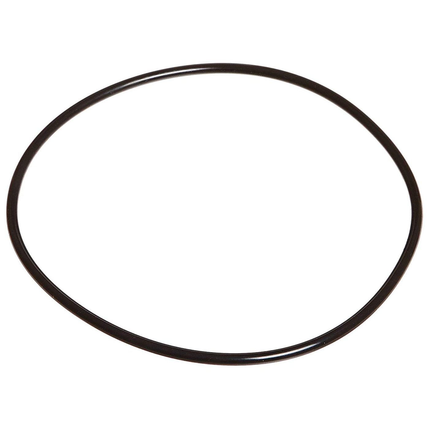 Zodiac Pool Systems R0536600 Back Plate O-Ring for Swimming Pool